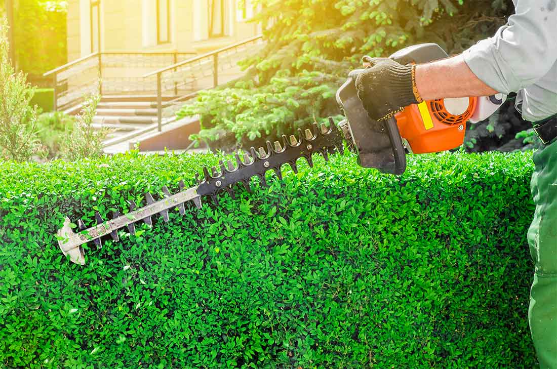 Lawncare professional expertly trimming hedge row with power trimmer